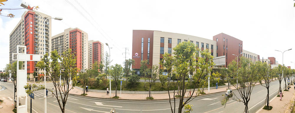 2023�������M(j��n)�������������е���I(y��)������